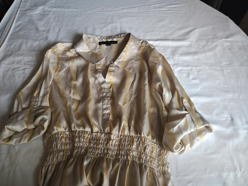 Ladies Light Dress